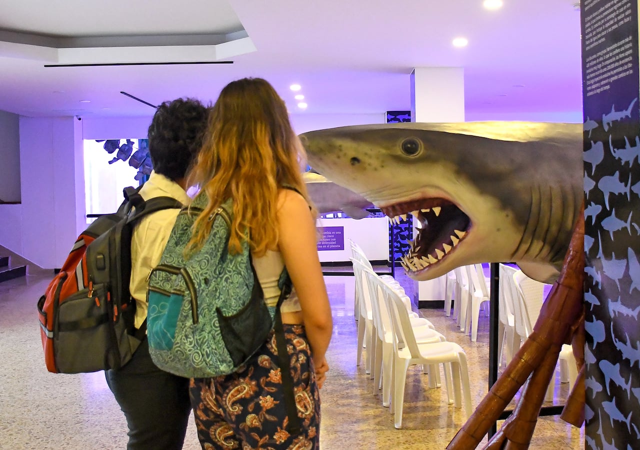 Exposiciones de la Biblioteca Departamental y el Museo de Ciencias Naturales INCIVA durante la COP16. Fotos Wirman Rios, Octu 21 de 2024, EL PAIS