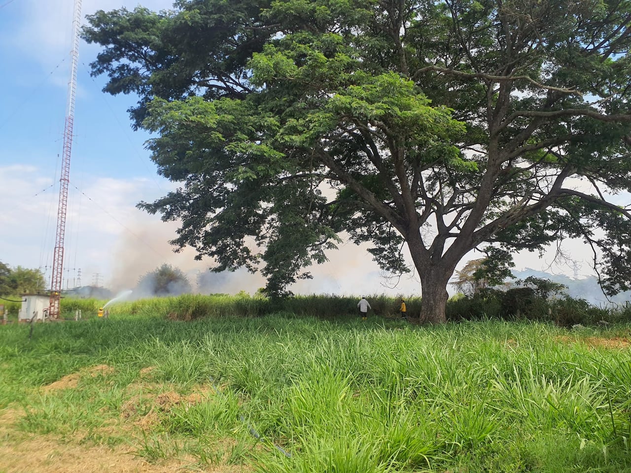 Incendio de vegetación en el barrio Mojica, en Cali.