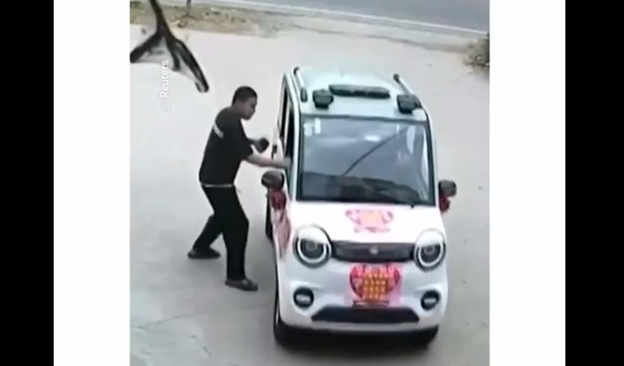 niña salva a su hermana en China