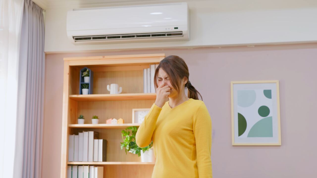 Así de fácil puede eliminar el mal olor de su habitación.