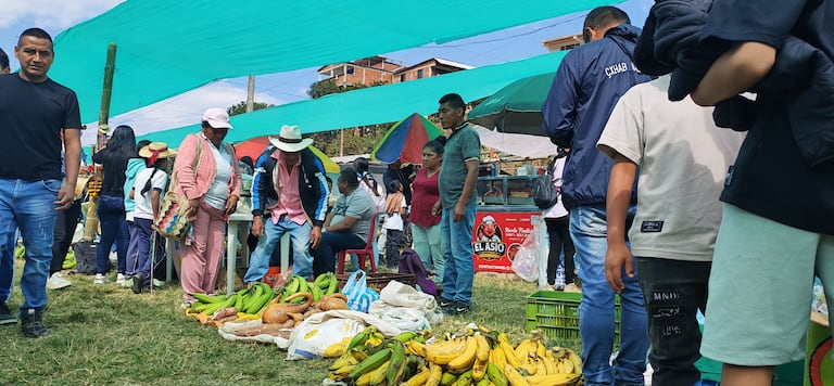 Seis ‘chivas’ cargadas de productos y personas llegaron desde diferentes zonas del norte del Cauca hasta la cancha principal del resguardo de Tacueyó para participar en el primer Trueque de Integración y Reconciliación por la Paz.