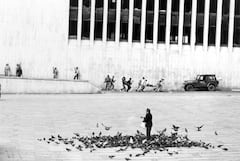 Toma del Palacio de Justicia