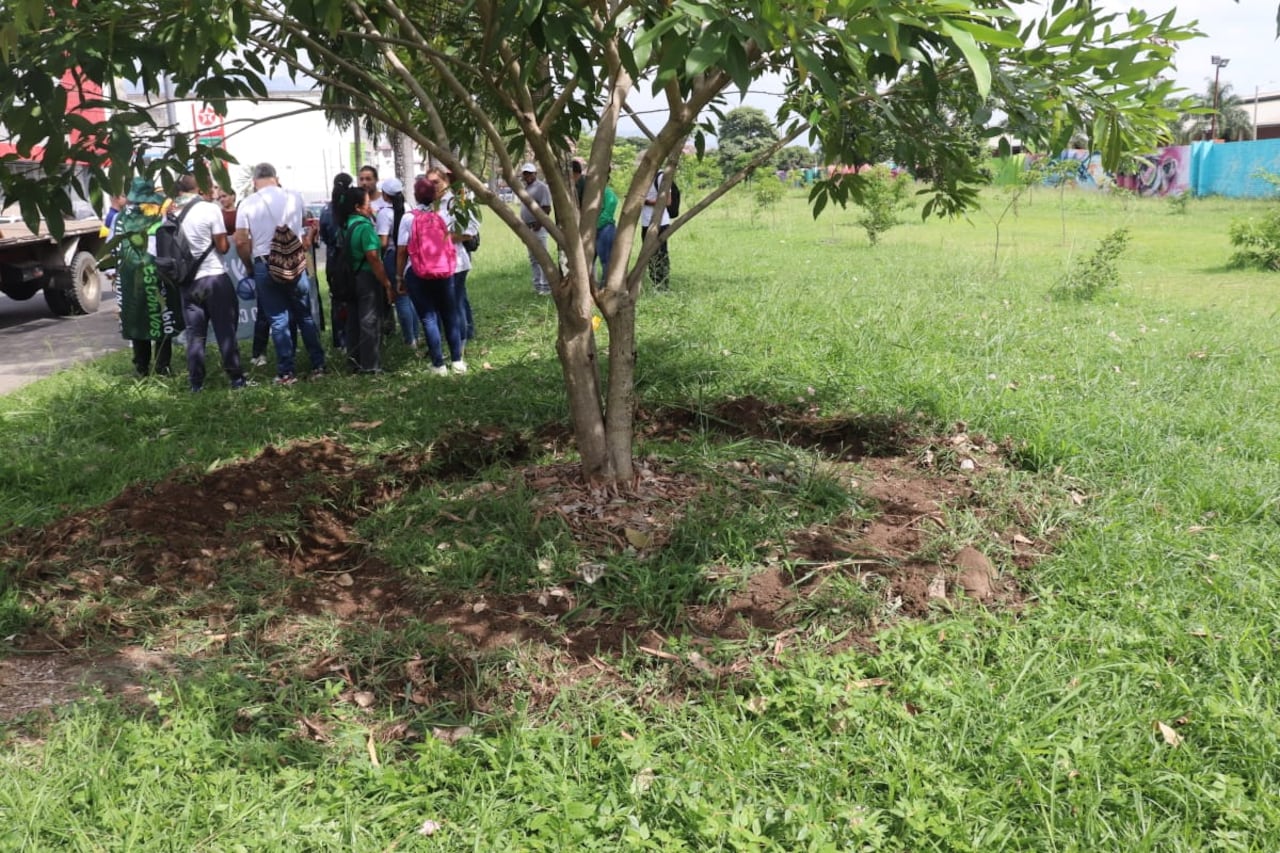 Algunos habitantes de la Comuna 3 hicieron presencia en la Calle 25 para denunciar el presunto arboricidio.