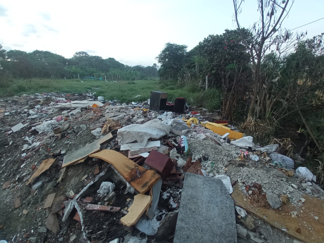La maleza crecida se extiende entre residuos sólidos en el jarillón, dificultando el mantenimiento y la limpieza del sector.