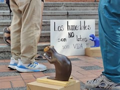 La protesta pacífica buscó llamar la atención sobre las intervenciones denunciadas en el corredor ecológico del Zanjón del Burro.