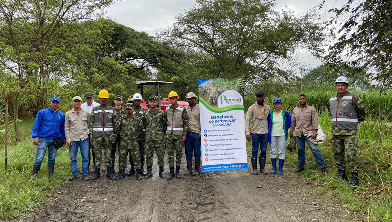 La Asociación Colombiana de Productores y Proveedores de Caña de Azúcar fomenta 286 mil empleos, beneficiando a más de 1.2 millones de personas en cinco departamentos de Colombia.