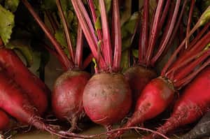 Remolacha