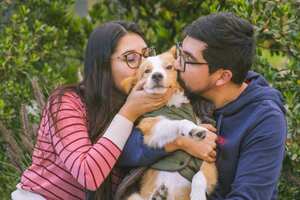 Archie fue una de las mascotas rescatadas por la fundación. | Foto: Cortesía Fundación Adopta No Compres