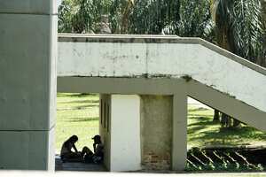 La inseguridad en los escenarios deportivos de Cali por ausencia de la Policía Nacional ha ocasionado que se presenten robos de vehículos y que aumenten los consumidores de droga. Foto: Jorge Orozco / El País