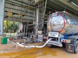 Perspectivas del sector lechero para 2025.
Foto: Cortesía Asoleche