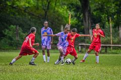 Jugadores de una categoría infantil durante un partido de la Copa Bon Bon Bum, donde también se promueven valores y convivencia.