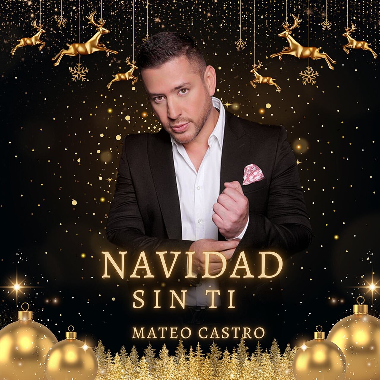 Mateo Castro, cantante colombiano.