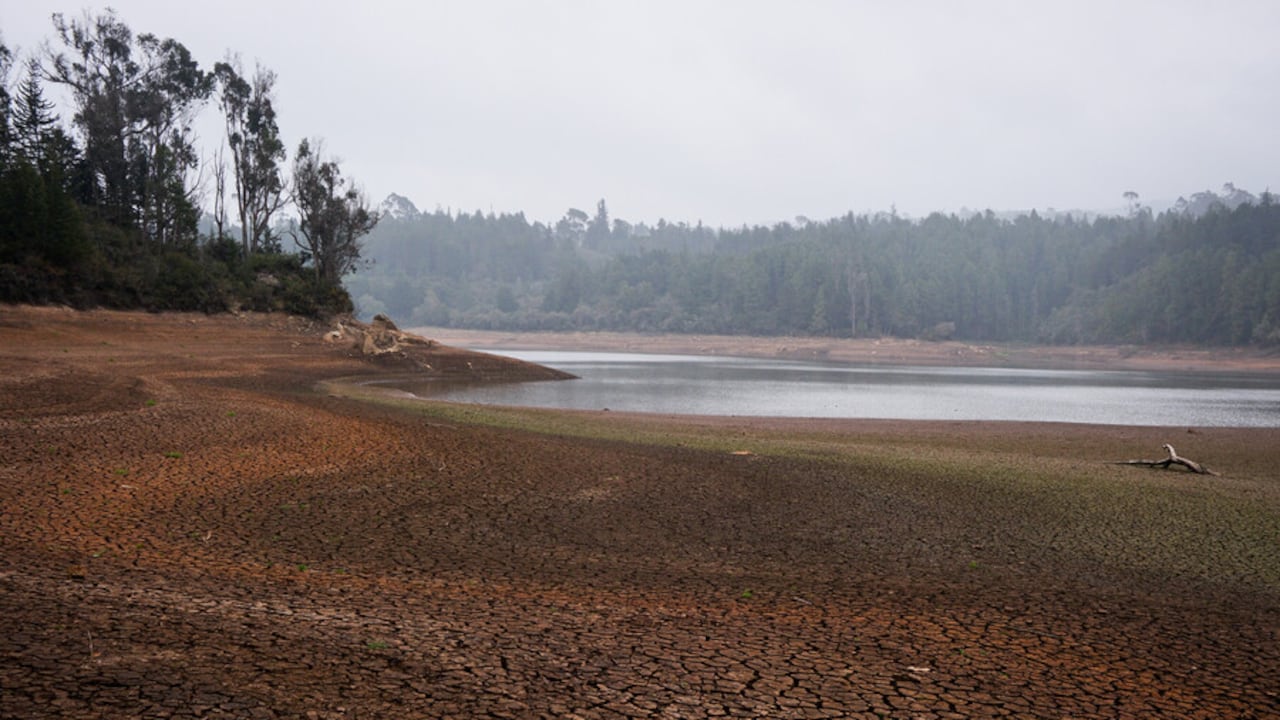 Se teme que el fenómeno de El Niño será bastante fuerte al finalizar el año.
