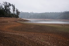 Se teme que el fenómeno de El Niño será bastante fuerte al finalizar el año.