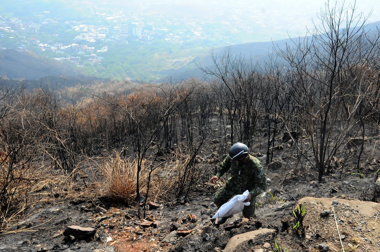 Cali; Centenares de caleños participan de la campaña de reverdecer y limpieza de los cerros tutelares de Cali (Tres Cruces, Guaca) que fueron afectados por incendios forestales en días pasados. foto José L Guzmán. El País, sept 30-23