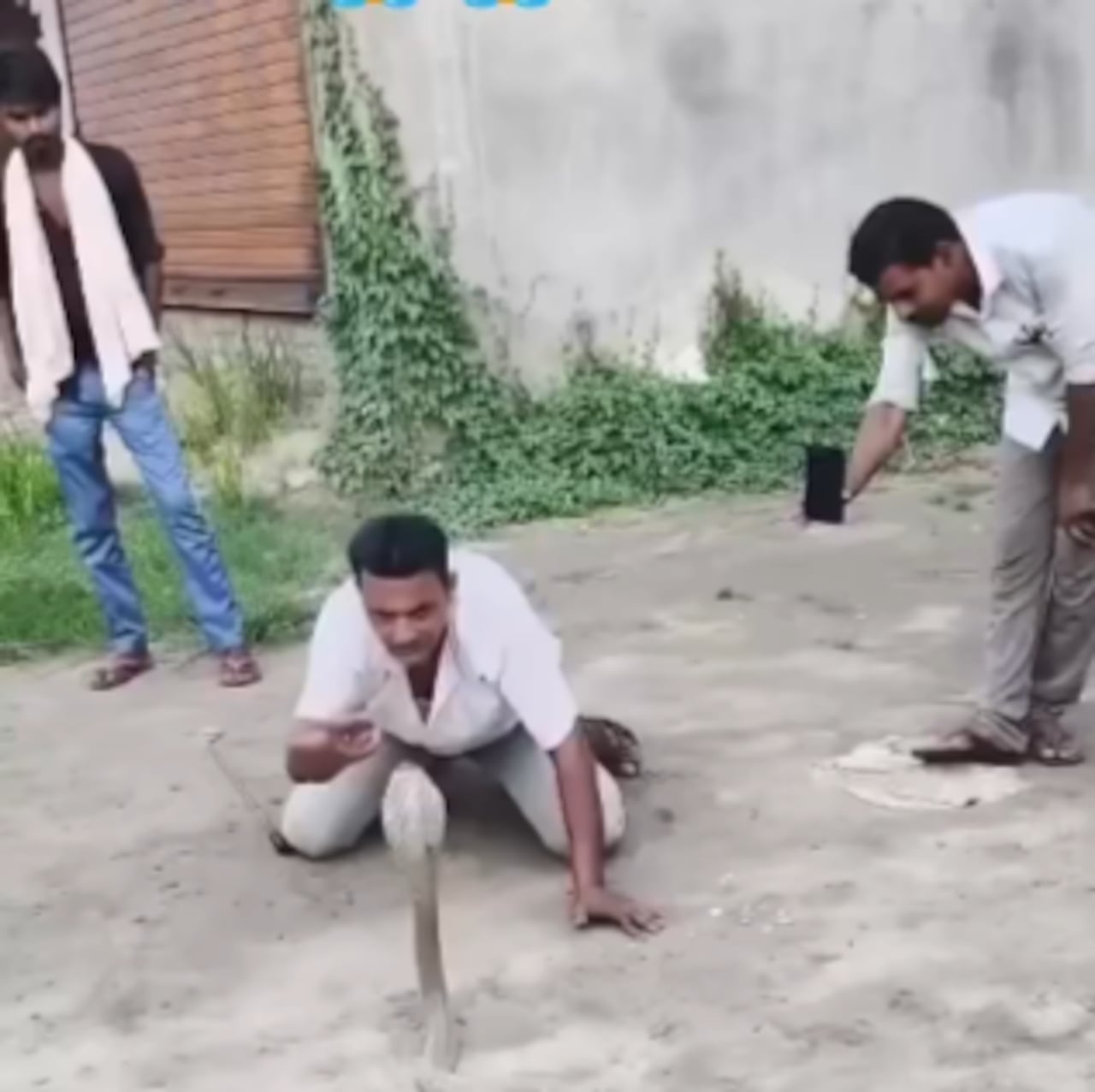 La serpiente levantó el cuerpo en señal de defensa. Esto lo hacen antes de atacar.