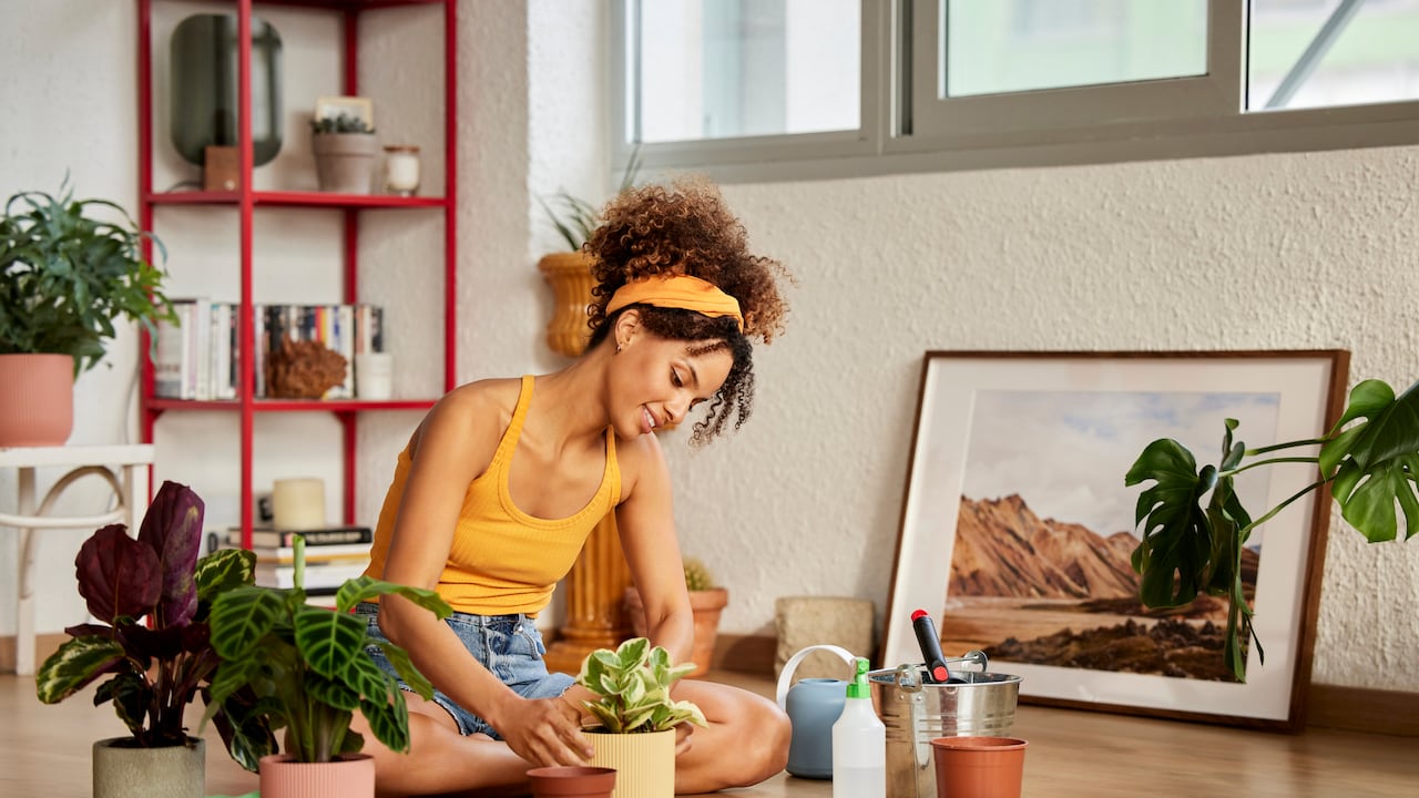 Conozca los 5 errores típicos al proveer agua a las plantas del hogar.
