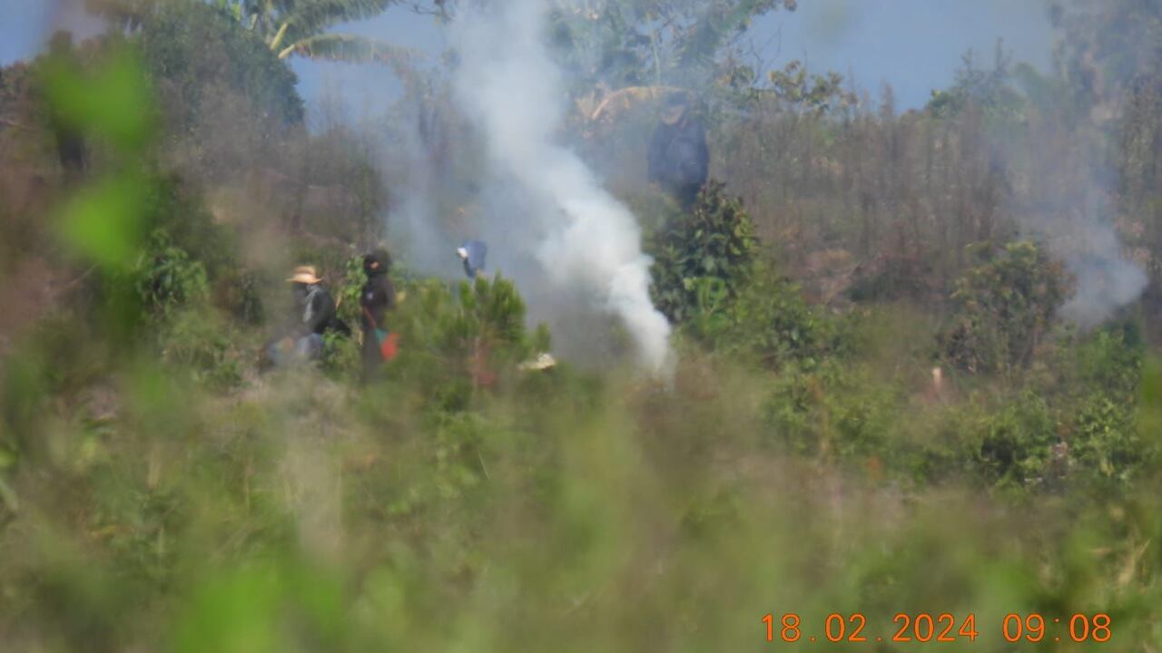 Varias propiedades de Smurfit Kappa fueron invadidas nuevamente.