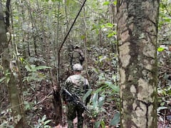 El Ejército continúa la búsqueda de los cuatro niños desaparecidos en un accidente aéreo sobre la selva del Caquetá el primero de mayo.