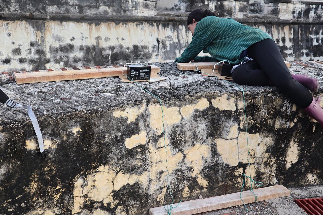 Las investigadoras concluyeron en que se pueden presentar más cambios a lo largo de los años.