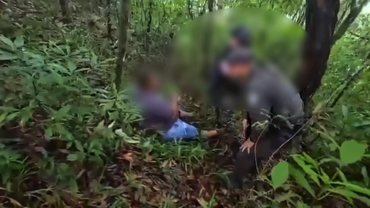 La rápida reacción de las fuerzas militares y la información suministrada por la comunidad permitieron ubicar el camión y poner a salvo a la víctima en la vereda Cristalares, municipio de Sotará.