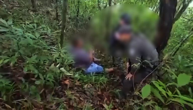 La rápida reacción de las fuerzas militares y la información suministrada por la comunidad permitieron ubicar el camión y poner a salvo a la víctima en la vereda Cristalares, municipio de Sotará.