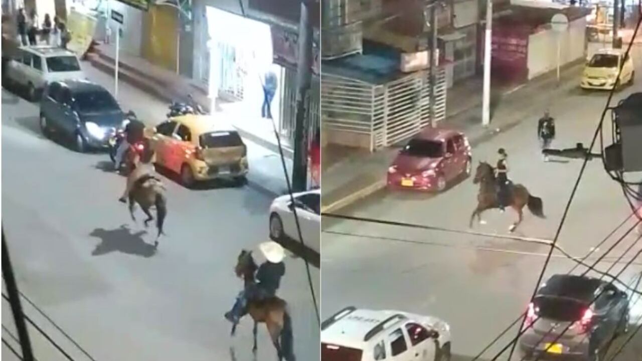 A través de varios videos de ciudadanos se observan como los jinetes ponen en riesgo a los caballos al transitar por una calle con vehículos en movimiento.
Foto: Imágenes suministradas al concejal Terry Hurtado por ciudadanos.