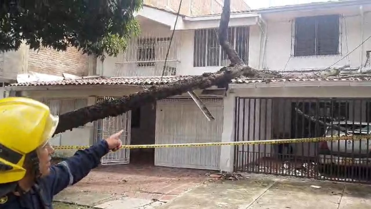 Organismos de socorro atienden emergencias por caída de árboles y afectaciones en viviendas tras las fuertes lluvias registradas en Cali.
