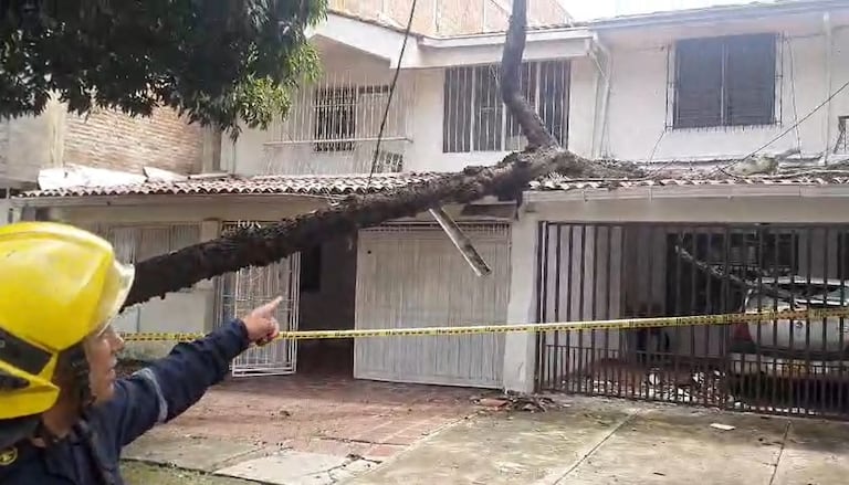Organismos de socorro atienden emergencias por caída de árboles y afectaciones en viviendas tras las fuertes lluvias registradas en Cali.