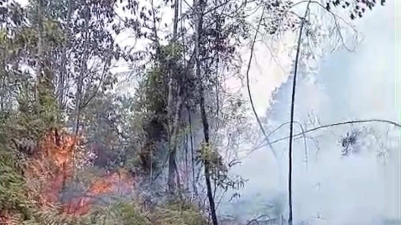 Incendio forestal en el corregimiento de Pichindé.