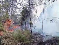Incendio forestal en el corregimiento de Pichindé.