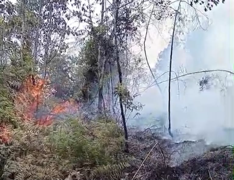 Incendio forestal en el corregimiento de Pichindé.