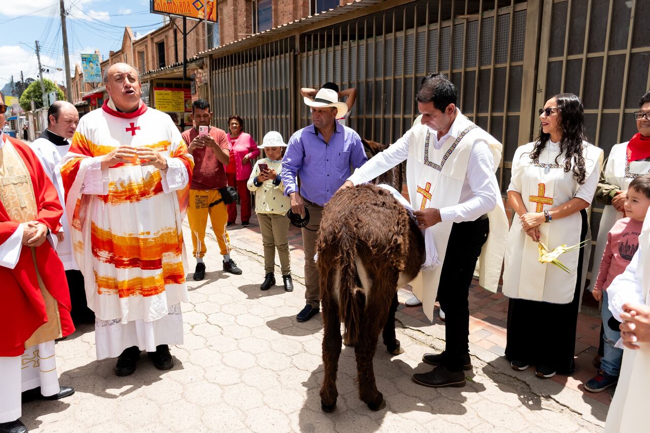 Indignación por cura que entró a una iglesia sobre un burro maltratado para celebrar misa de Semana Santa en Zipaquirá.