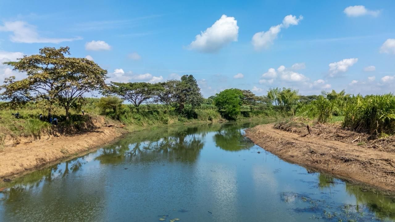 La CVC adelantó labores de limpieza y mantenimiento en humedales de varios municipios del Valle del Cauca.