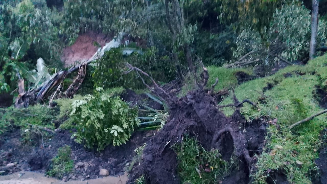 La vía entre Jambaló y Silvia presenta múltiples derrumbes que dificultan la movilidad en la zona.