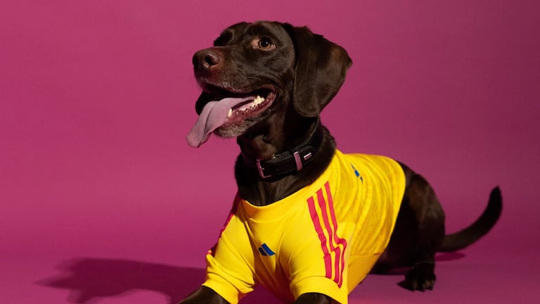 La multinacional deportiva presentó una colección oficial que permitirá a los caninos lucir los colores de la tricolor.