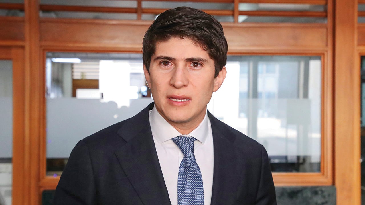 Wadith Manzur Representante a la Cámara