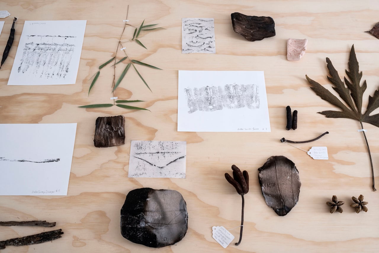 El trabajo de Tatiana Arocha combina investigación de campo, técnicas análogas y procesos digitales para construir un lenguaje visual inspirado en la biodiversidad y los territorios de Colombia.
Foto: Etienne Frossard, suministrada por Tatiana Arocha / El País