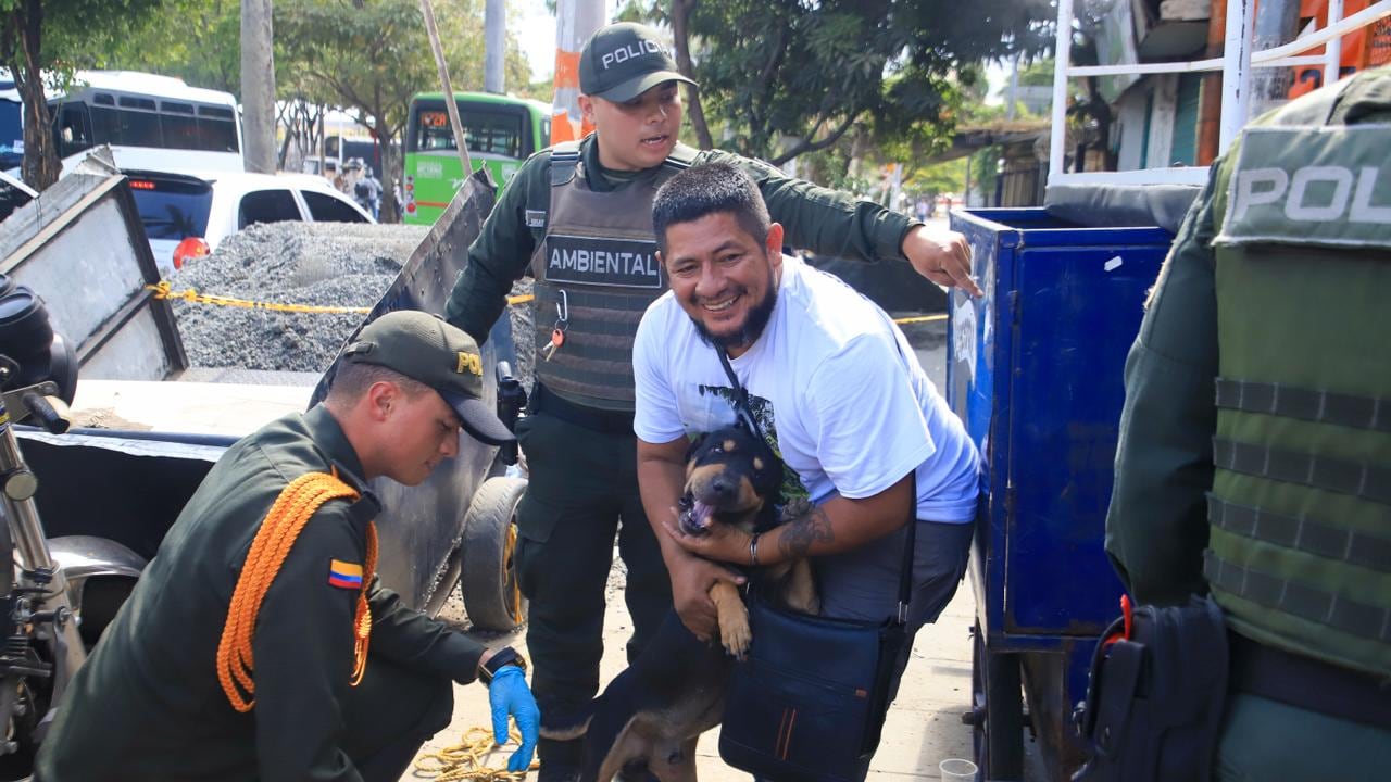 La Unidad Administrativa Especial de Protección Animal (UAEPA) informó que 70 animales de compañía han ingresado con vida al Centro de Bienestar Animal (CBA) en Cali, tras el terremoto.