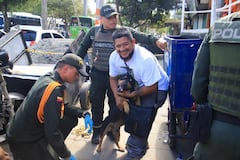 La Unidad Administrativa Especial de Protección Animal (UAEPA) informó que 70 animales de compañía han ingresado con vida al Centro de Bienestar Animal (CBA) en Cali, tras el terremoto.