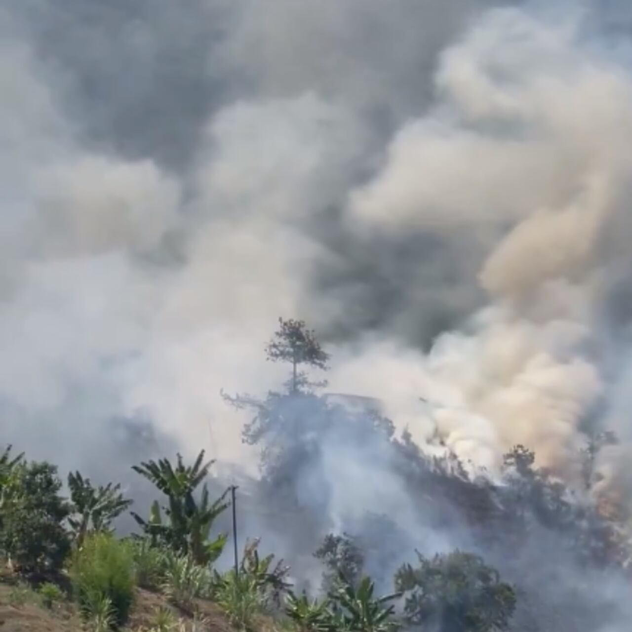 La conflagración se presentó este sábado en el pueblo de Pance.