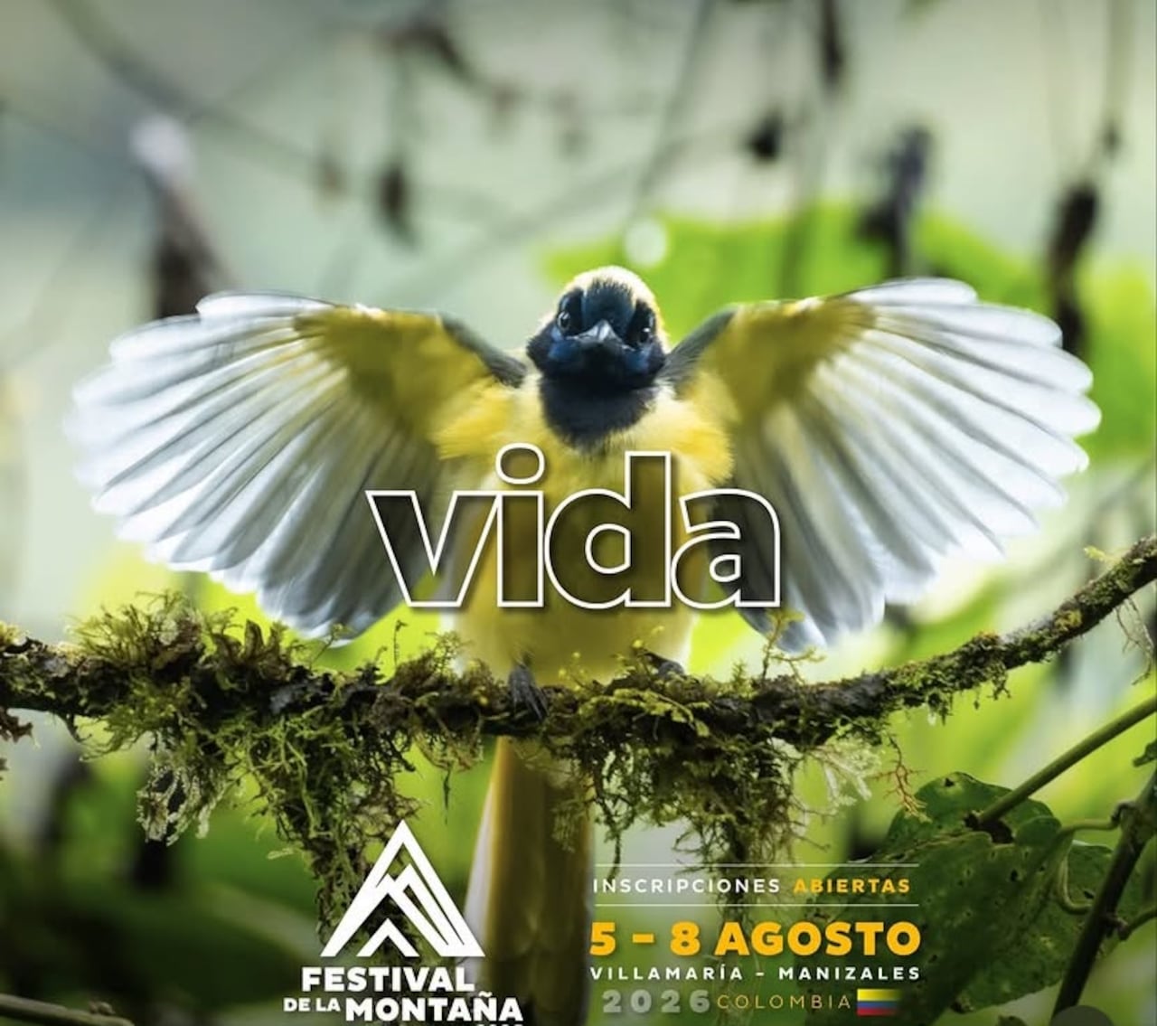 Festival de la Montaña 2026.