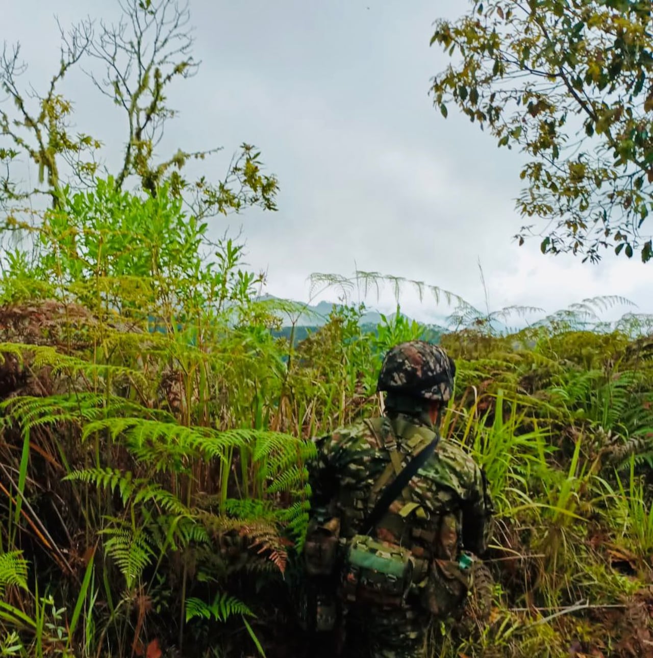 El comandante de la Tercera División del Ejército, brigadier general Federico Mejía, confirmó que más de 400 soldados fueron enviados a esta zona del noroccidente del Cauca para enfrentar a la disidencia Jaime Martínez de las Farc.