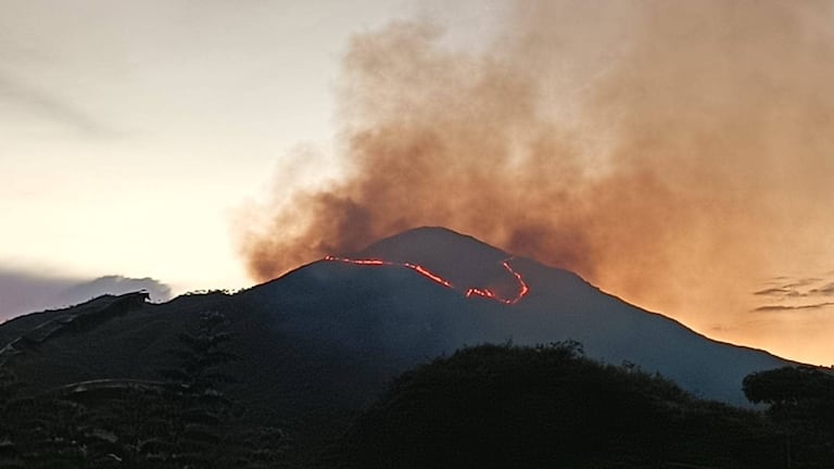 Organismos de socorro trabajaron intensamente para controlar las llamas en medio de difíciles condiciones climáticas y geográficas.
