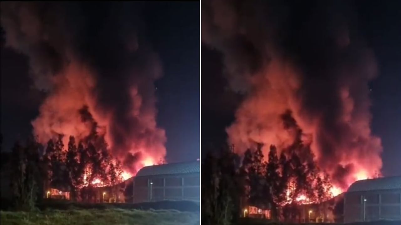 El incendio se presentó en la empresa colombiana Trading Foods, dedicada a fabricar cereales.
