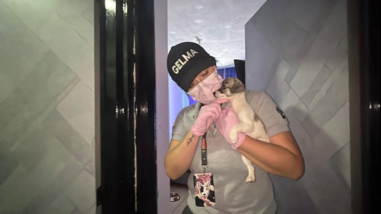 Autoridades rescataron nueve animales en condiciones críticas en la Comuna 6.