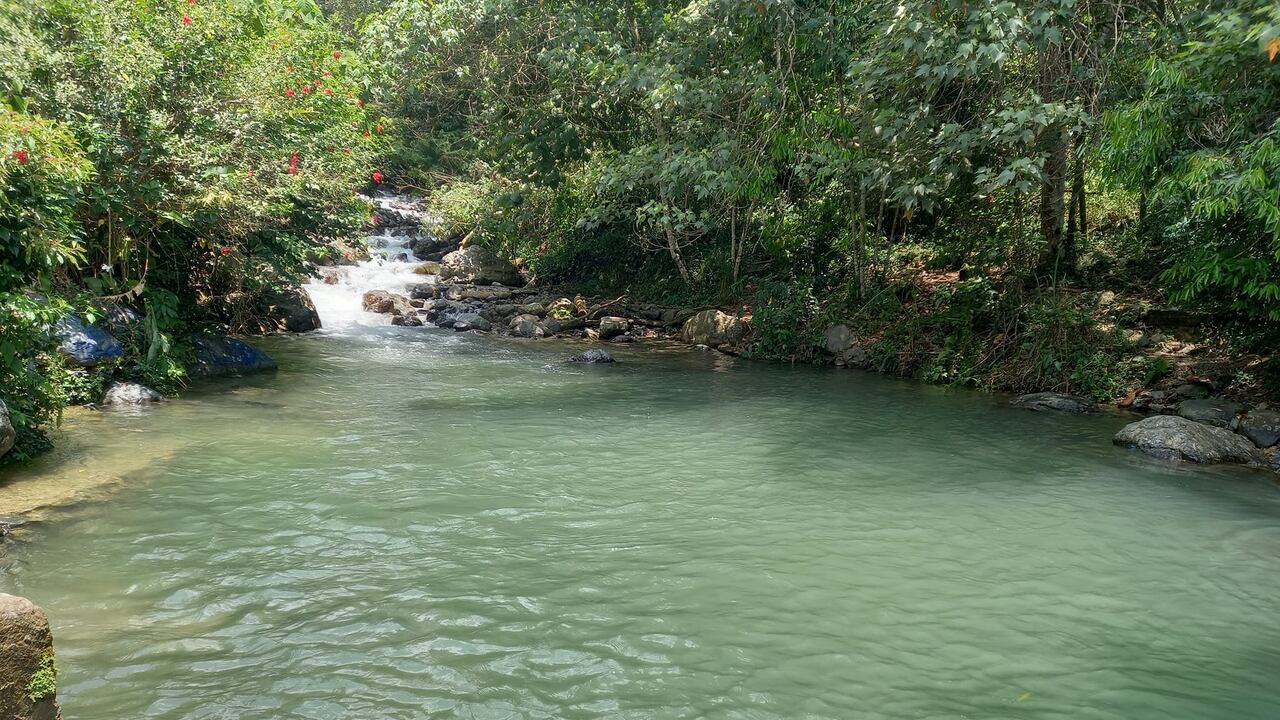 Los Charcos del Pomo en El Cerrito, Valle del Cauca.