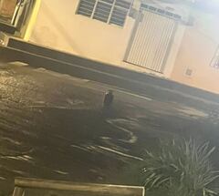 En el municipio de Caloto, Cauca, la comunidad reportan que los responsables de este ataque ubicaron cilindros en varias vías del casco urbano de esta población.