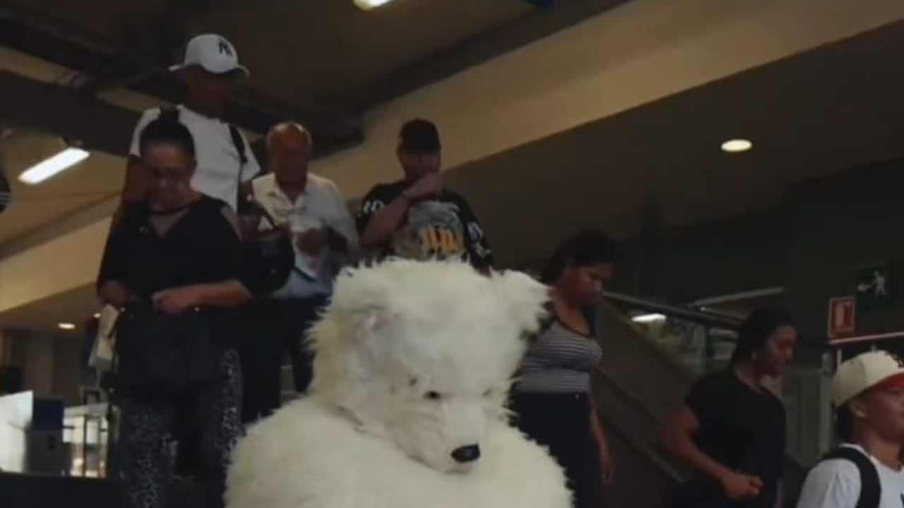 Juanes en el Metro de Medellín, vestido de oso.