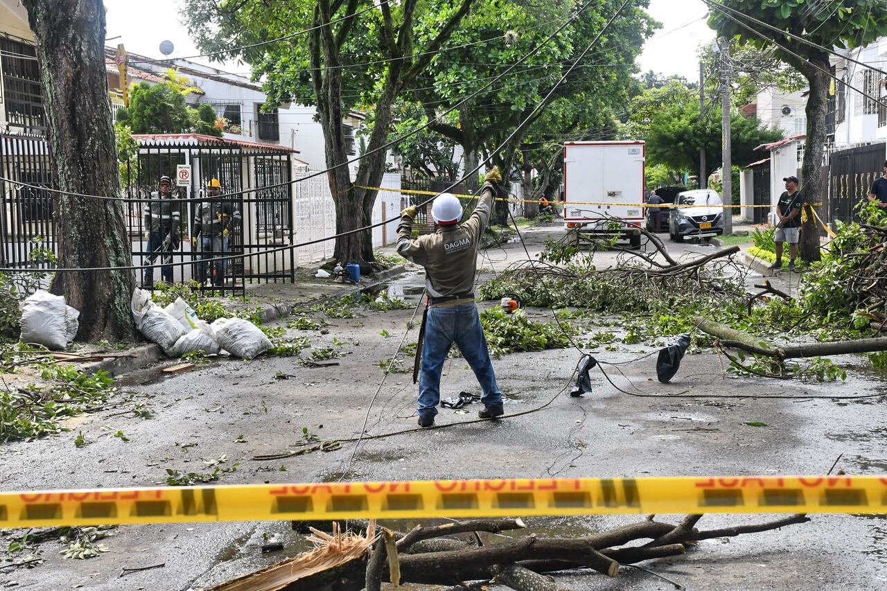 Cali: Fuerte lluvia genera emergencia en el norte de la ciudad por la caída de más de 24 árboles en diferentes barrios. Foto José L Guzmán. El País